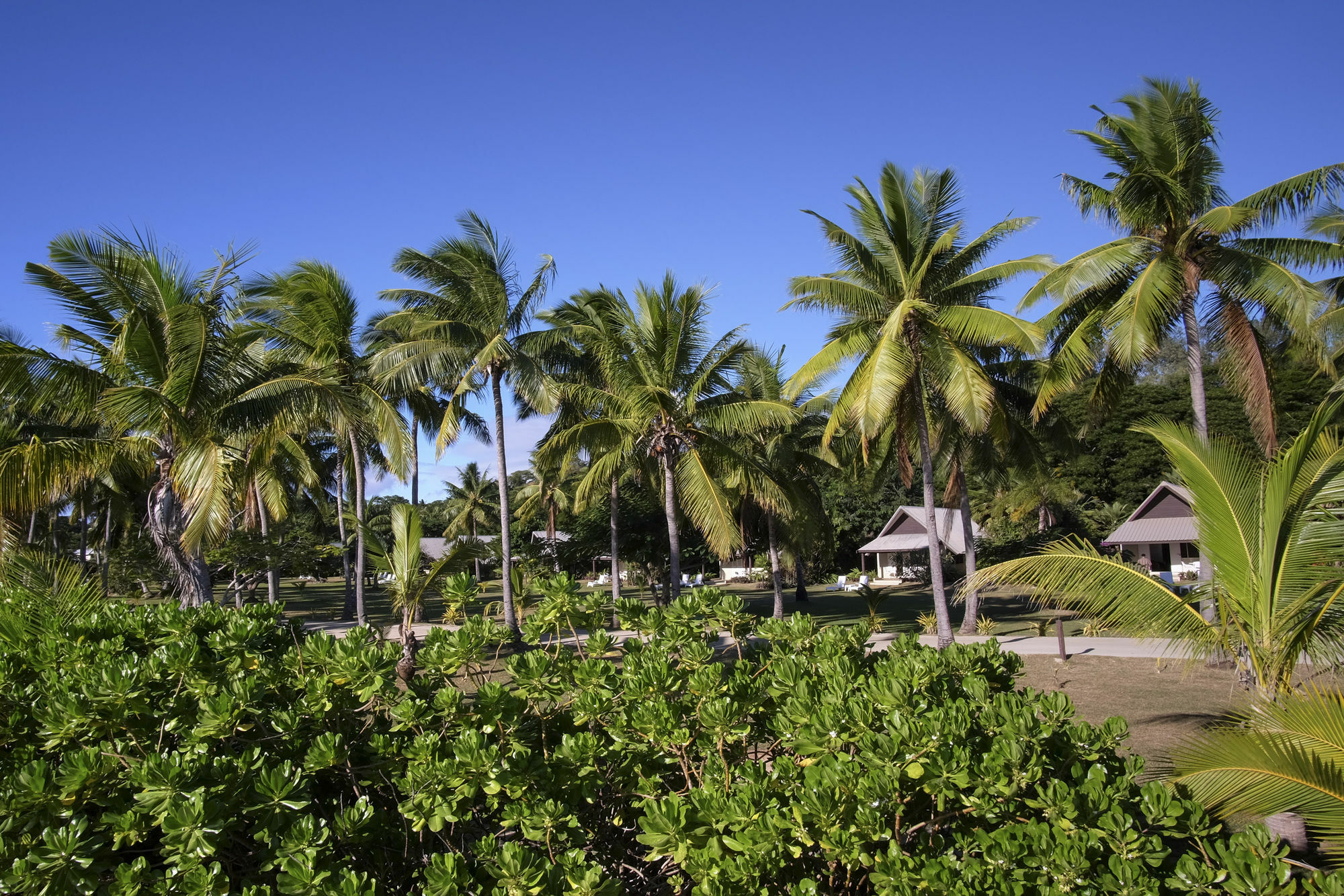 Musket Cove Island Resort Malolo Lailai Luaran gambar
